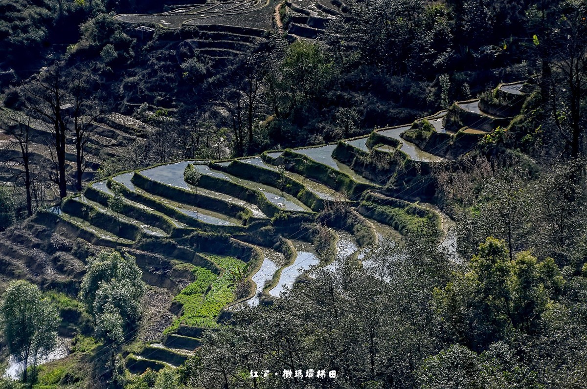 云南红河·撒玛坝梯田（2）