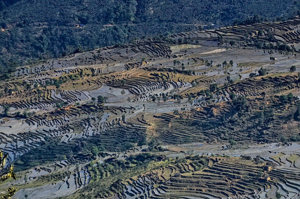 云南红河·撒玛坝梯田（2）