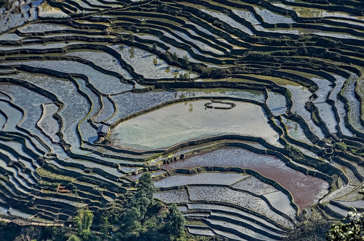 云南红河·撒玛坝梯田（2）