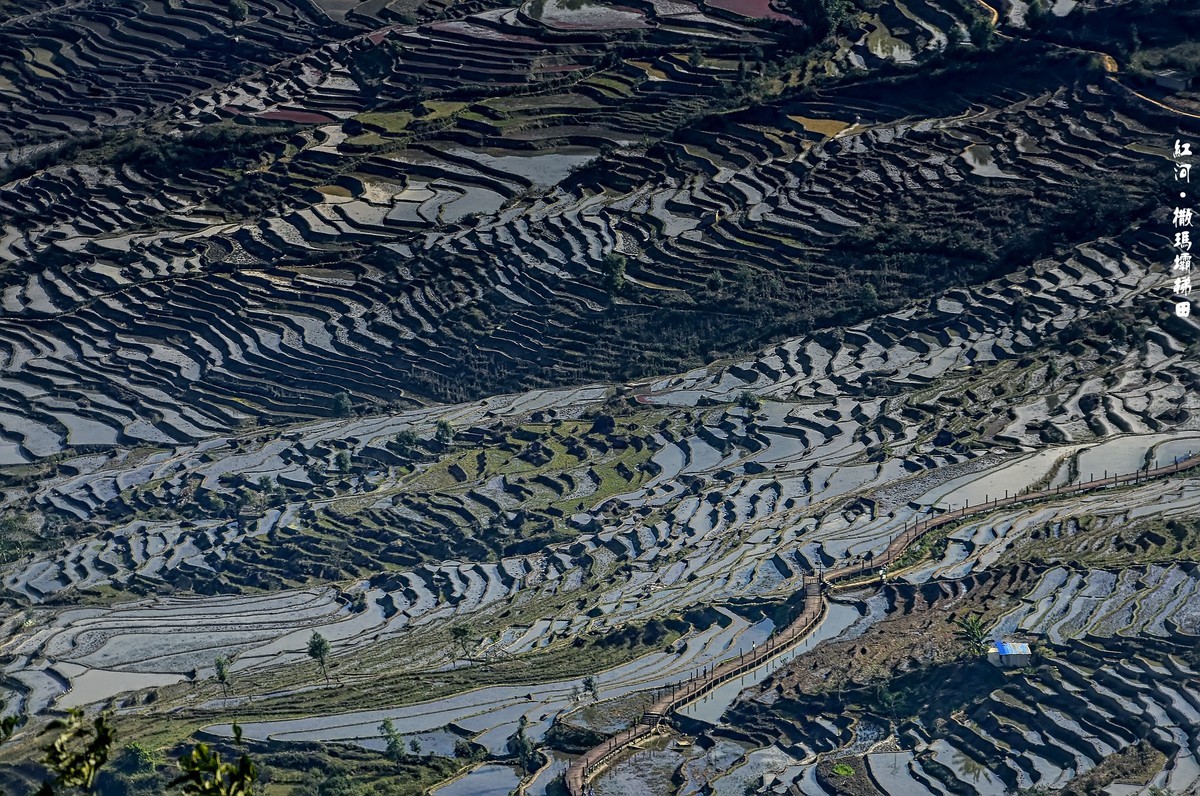 云南红河·撒玛坝梯田（2）