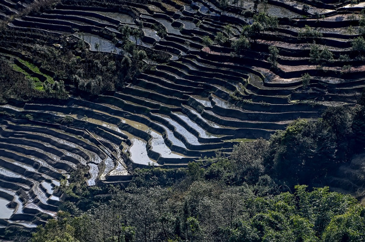 云南红河·撒玛坝梯田（2）