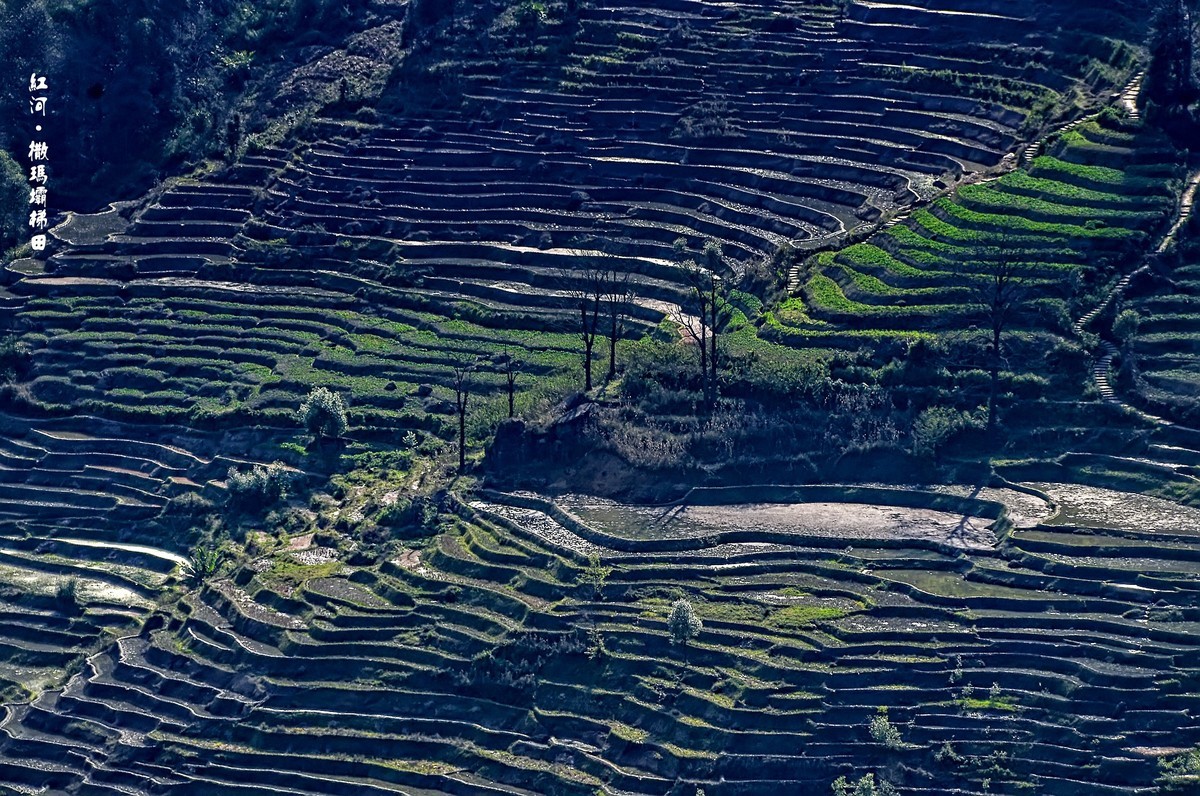 云南红河·撒玛坝梯田（2）