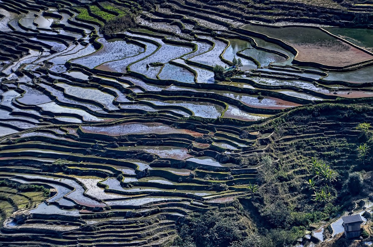 云南红河·撒玛坝梯田（2）