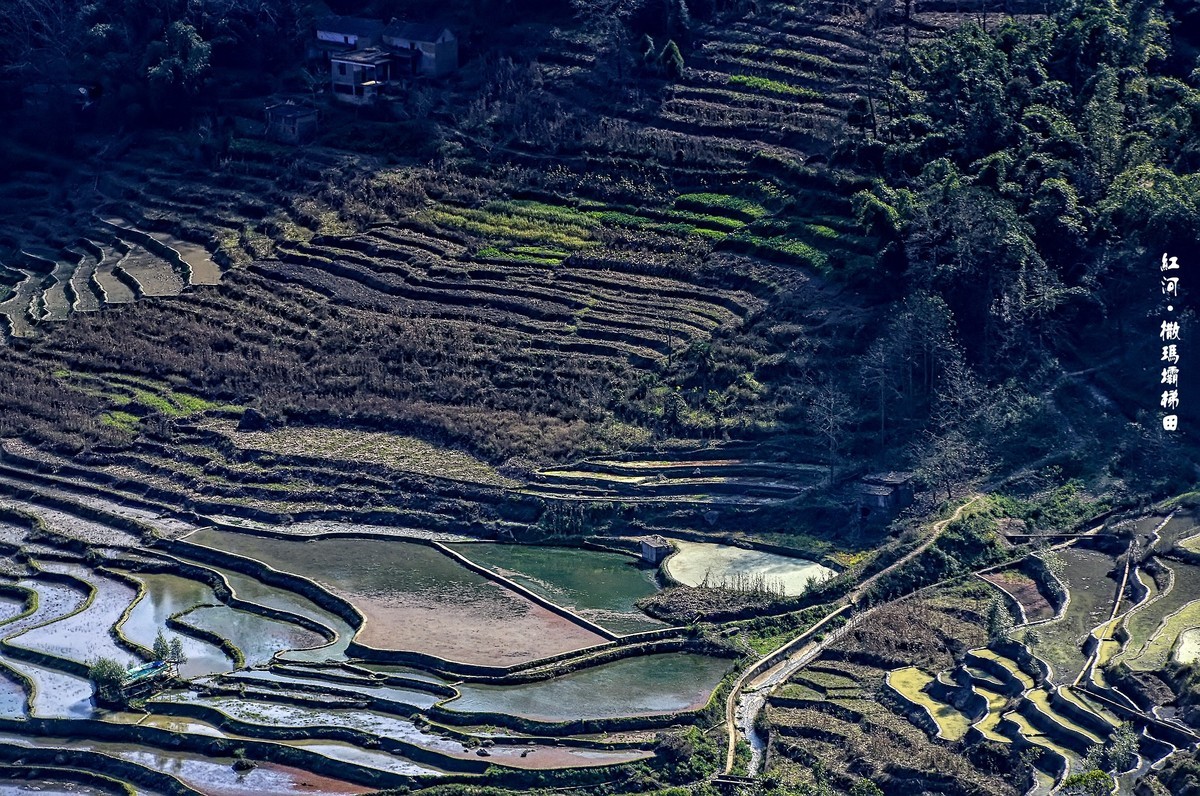 云南红河·撒玛坝梯田（2）