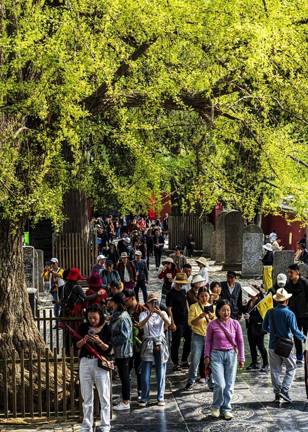 河南嵩山--少林寺【2】