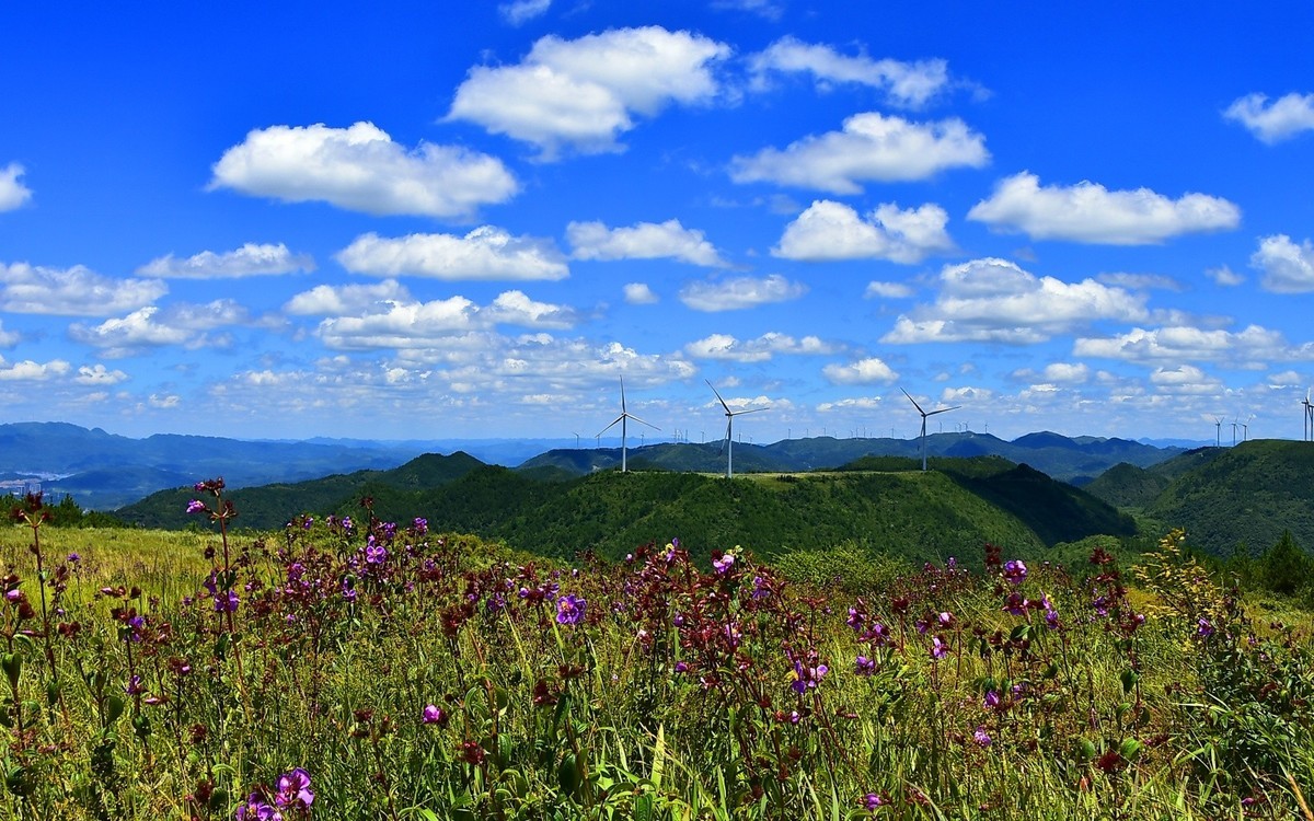 龙里油画大草原