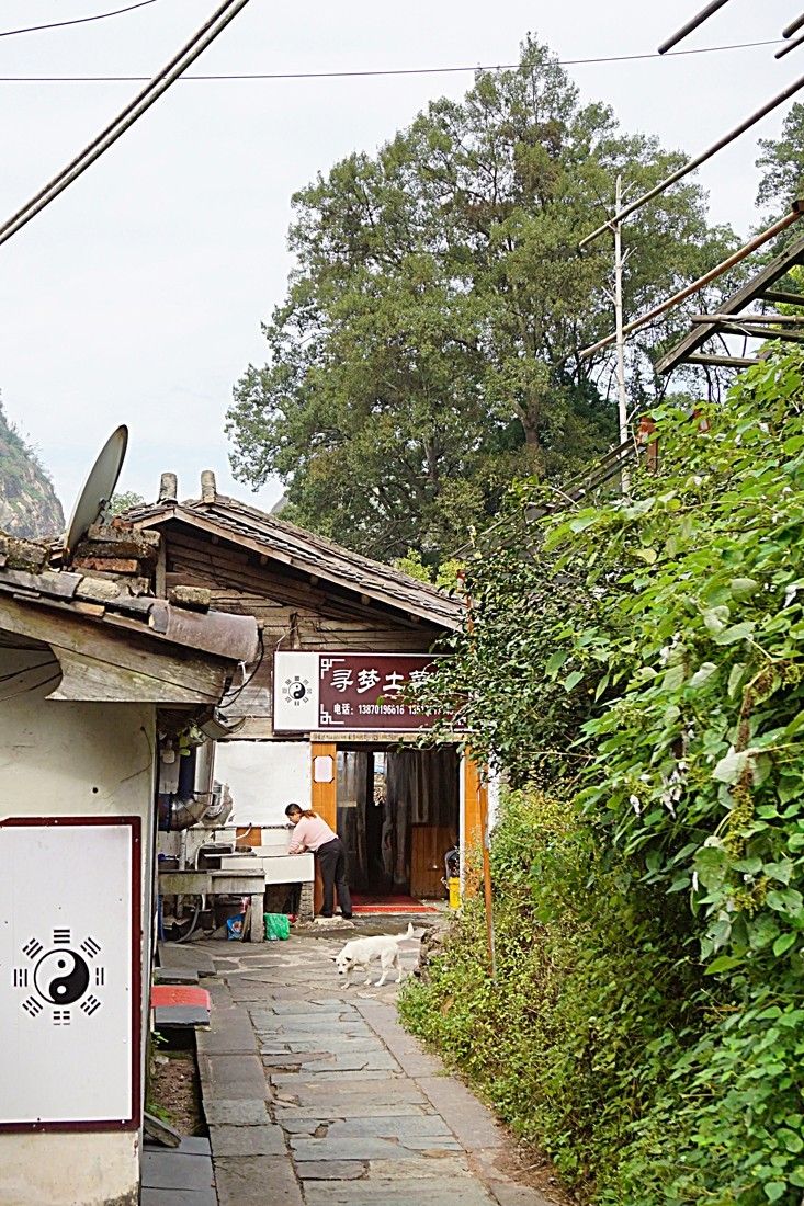 龙虎山景区  无蚊村（一）