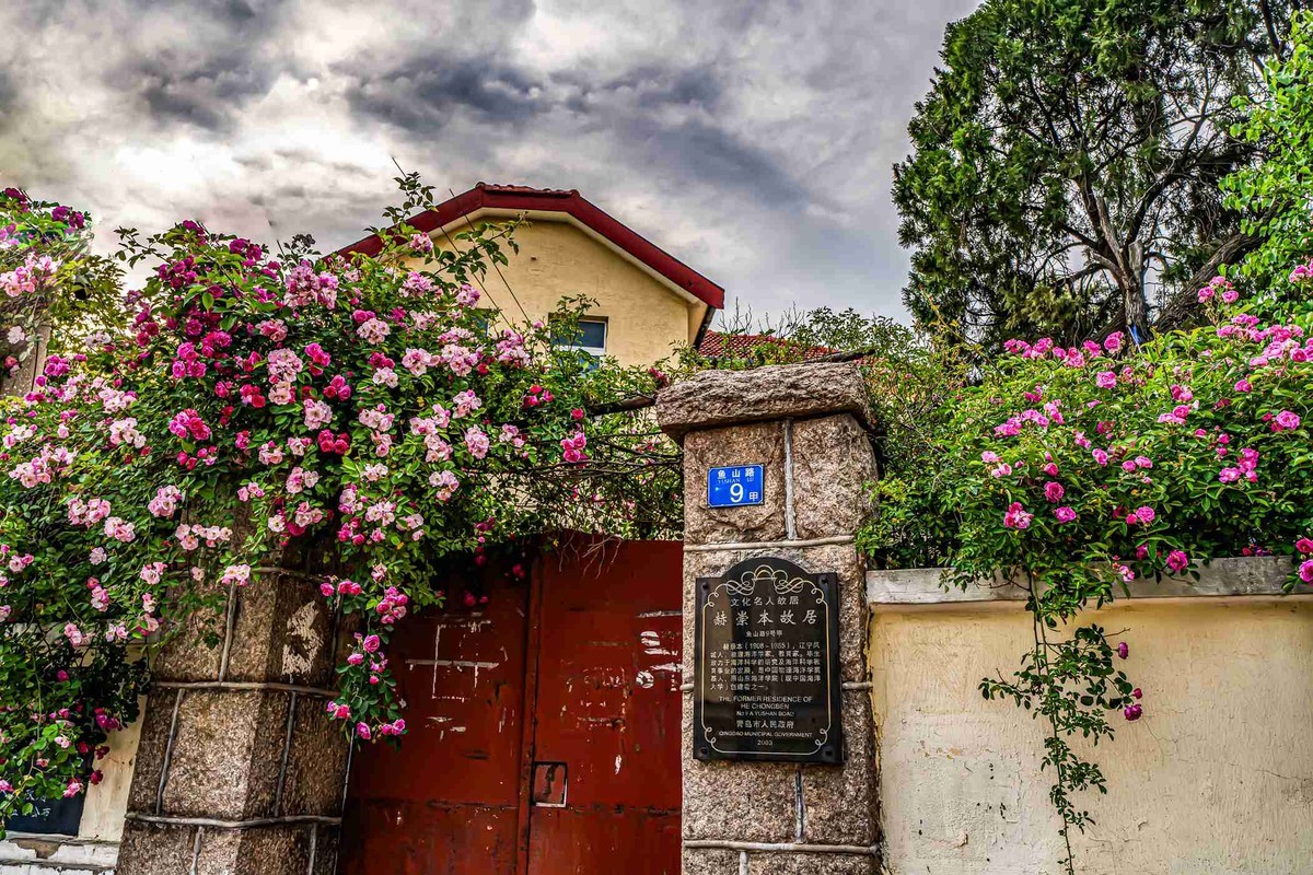 城市美容师    蔷薇花开
