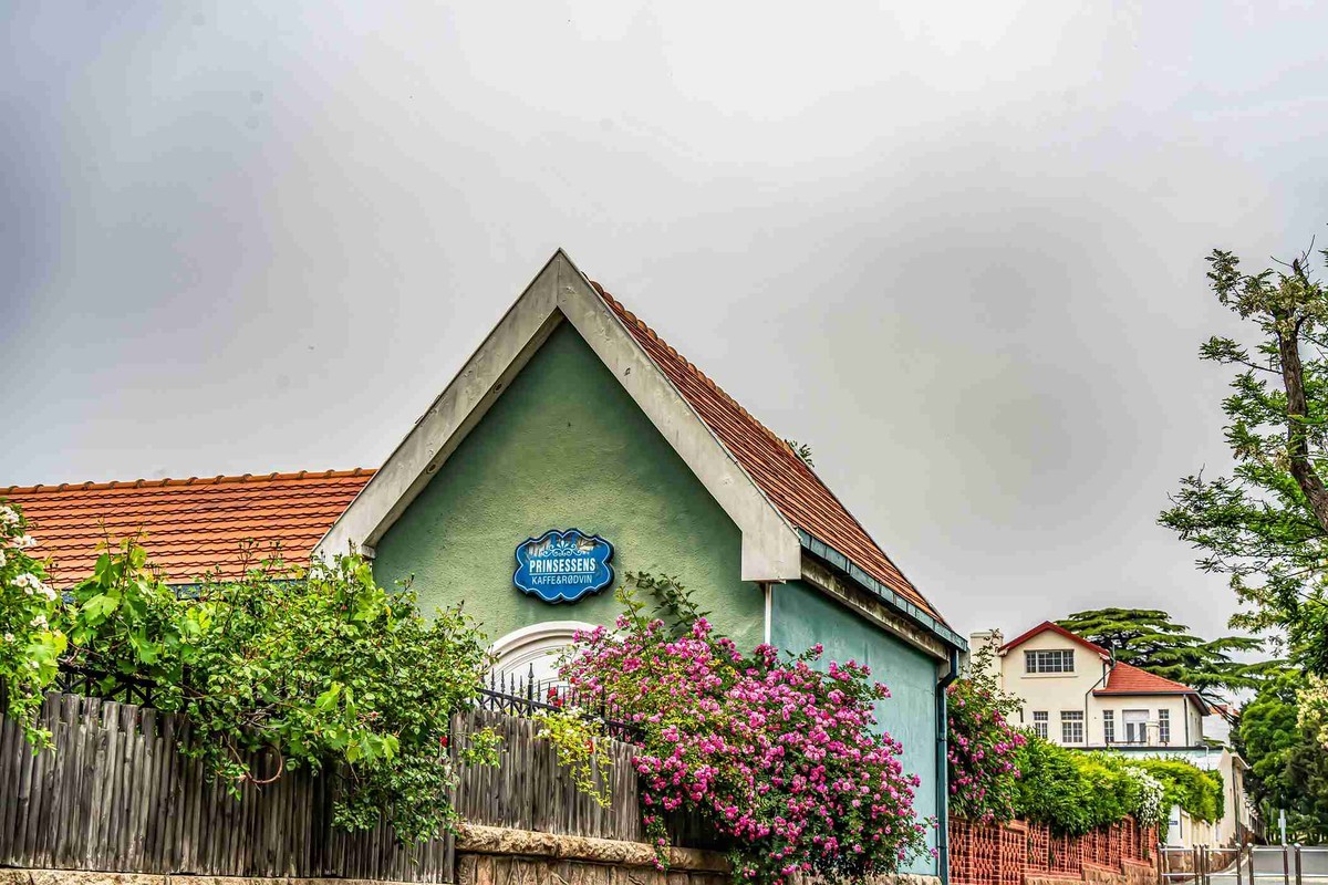 城市美容师    蔷薇花开