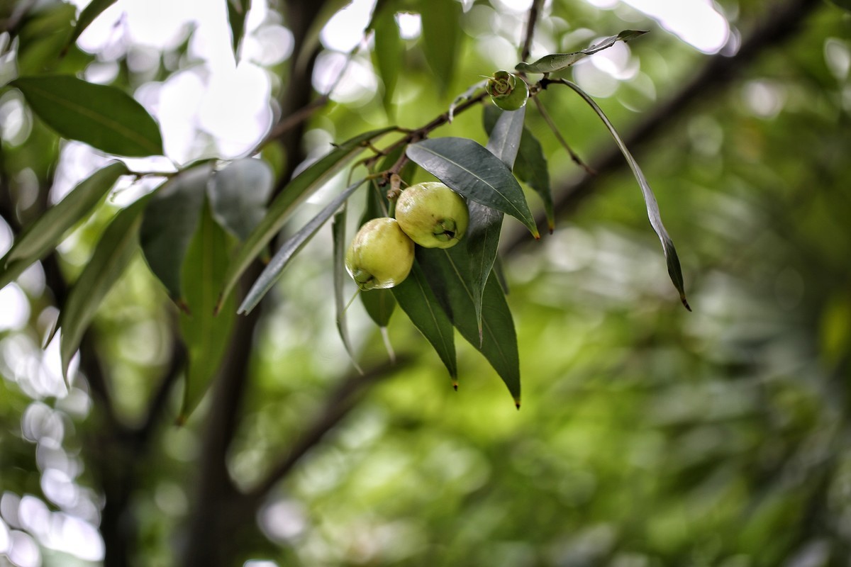 06.02花都人民公园随拍