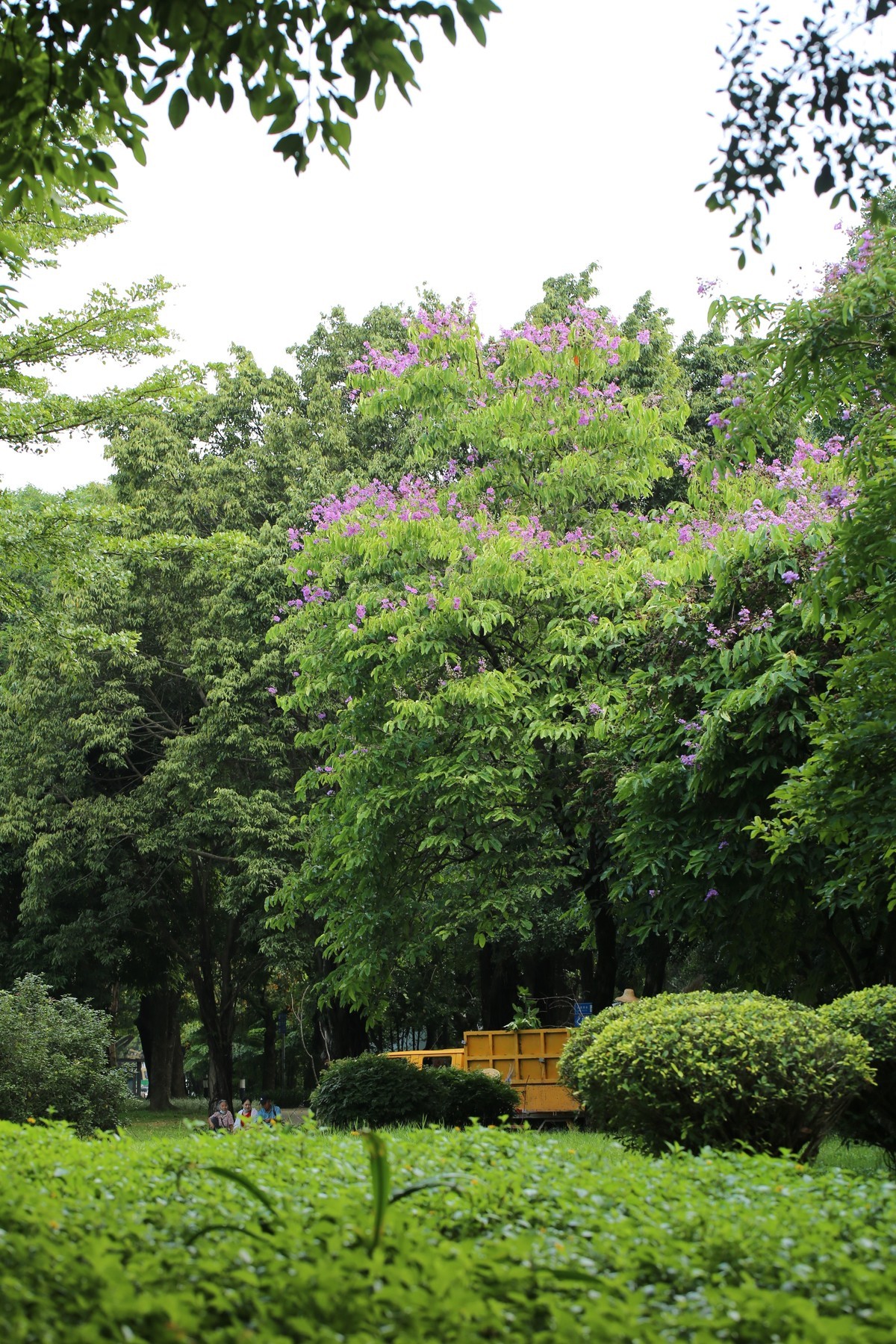 06.02花都人民公园随拍
