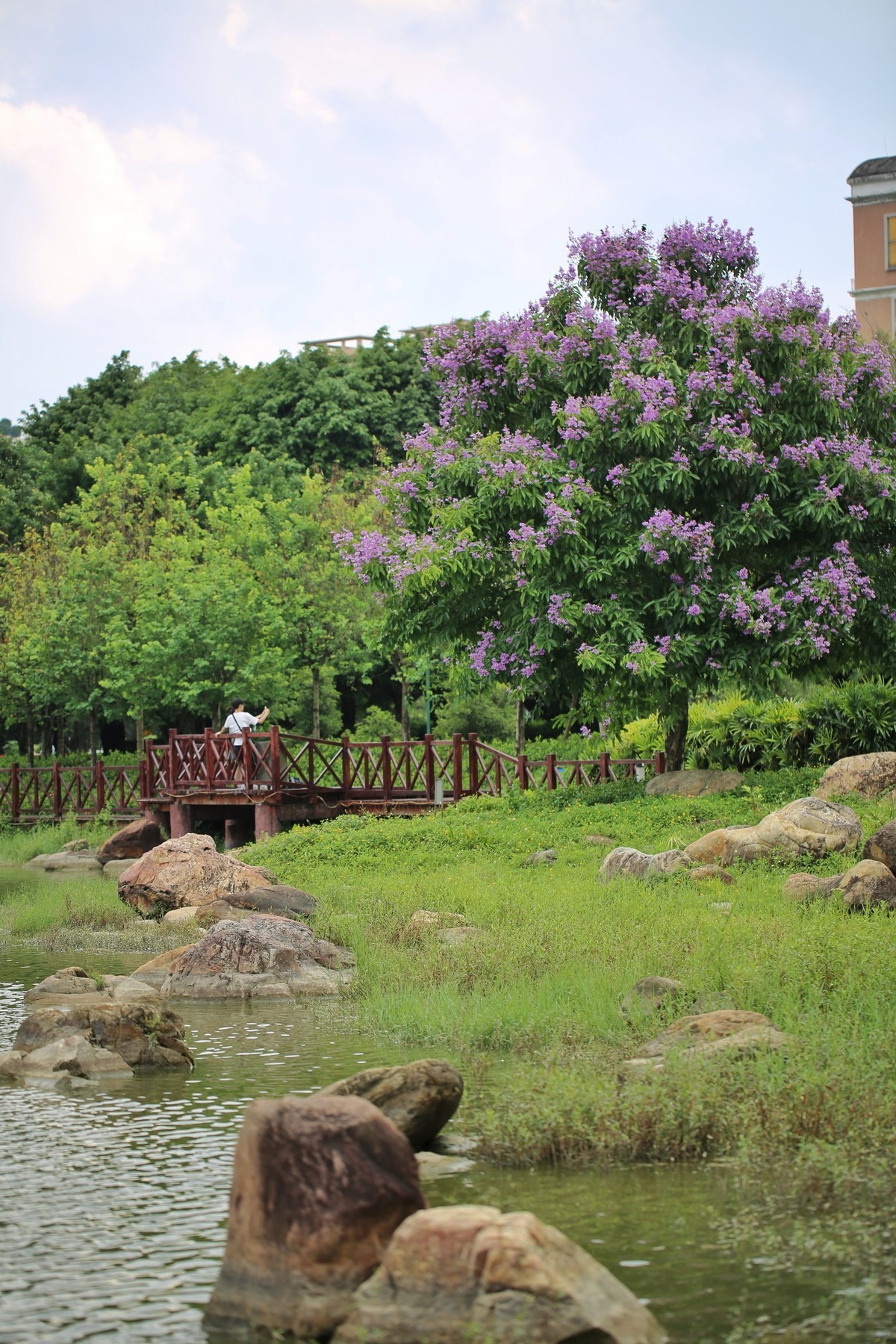 06.02花都人民公园随拍