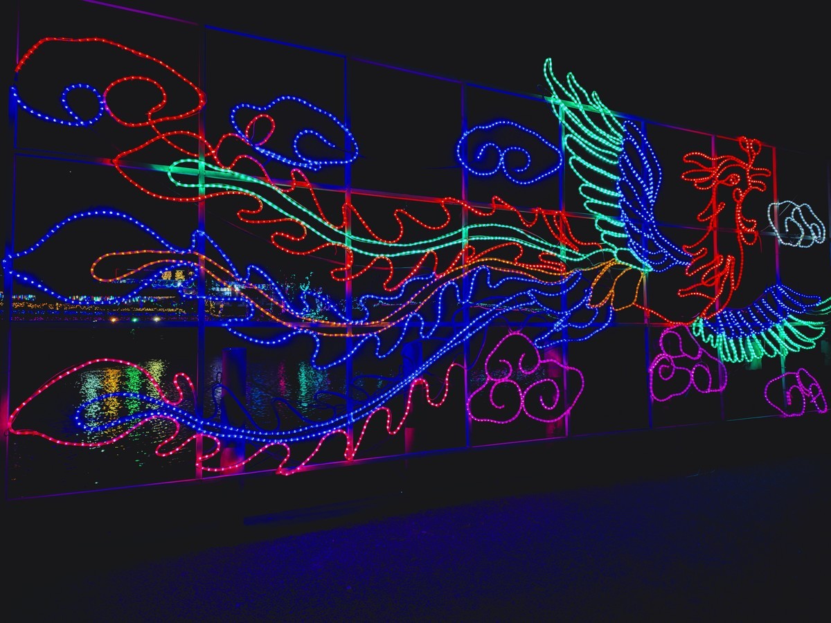 泸州花田酒地夜景