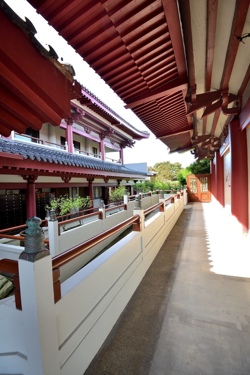 新西兰北岛佛光山    1/3