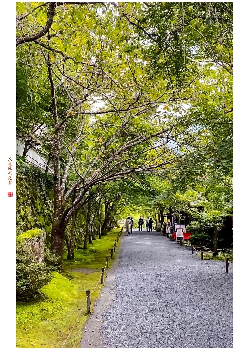2023年第0985贴-人文风光纪实抓拍（1231）