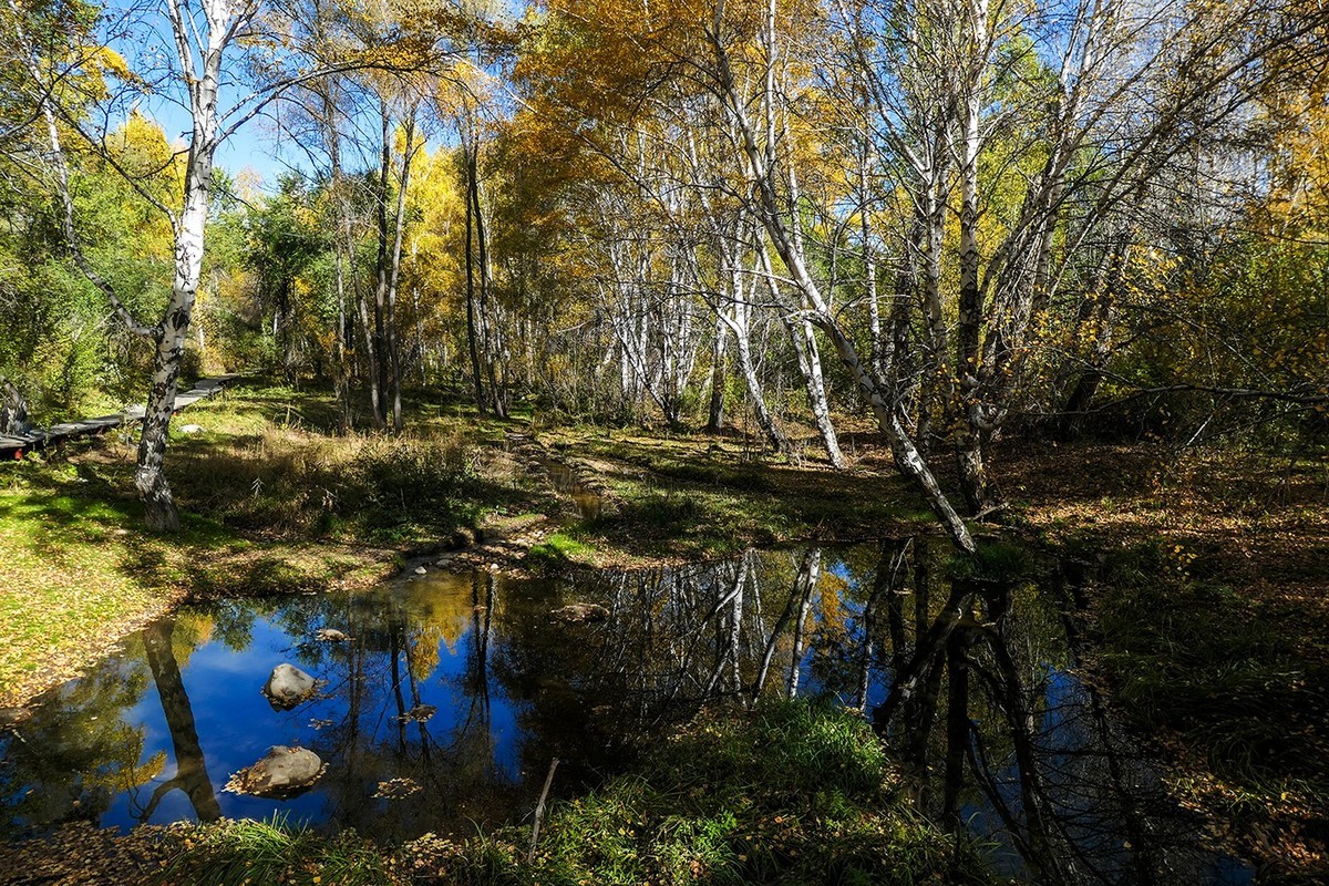 新疆阿勒泰红山公园随拍