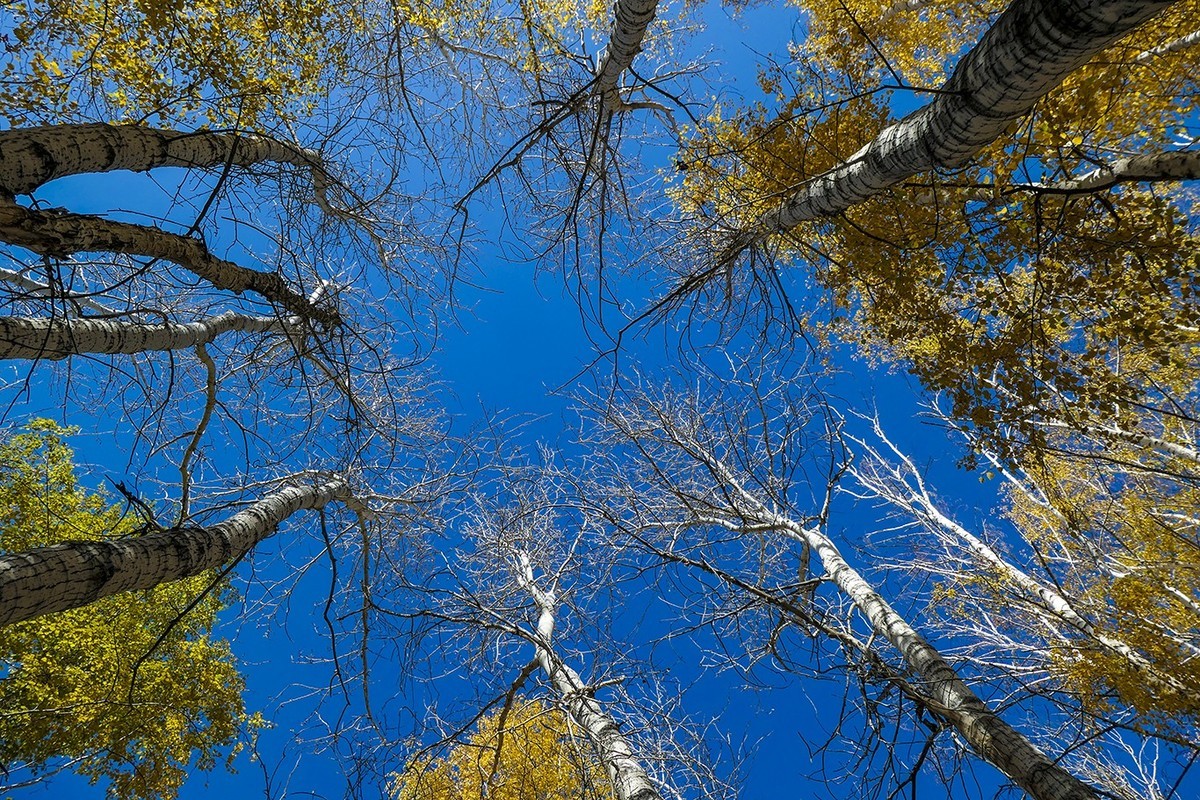 新疆阿勒泰红山公园随拍