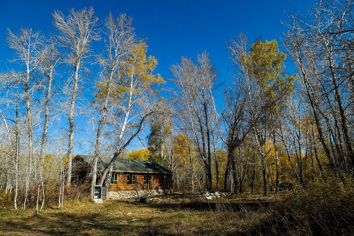 新疆阿勒泰红山公园随拍