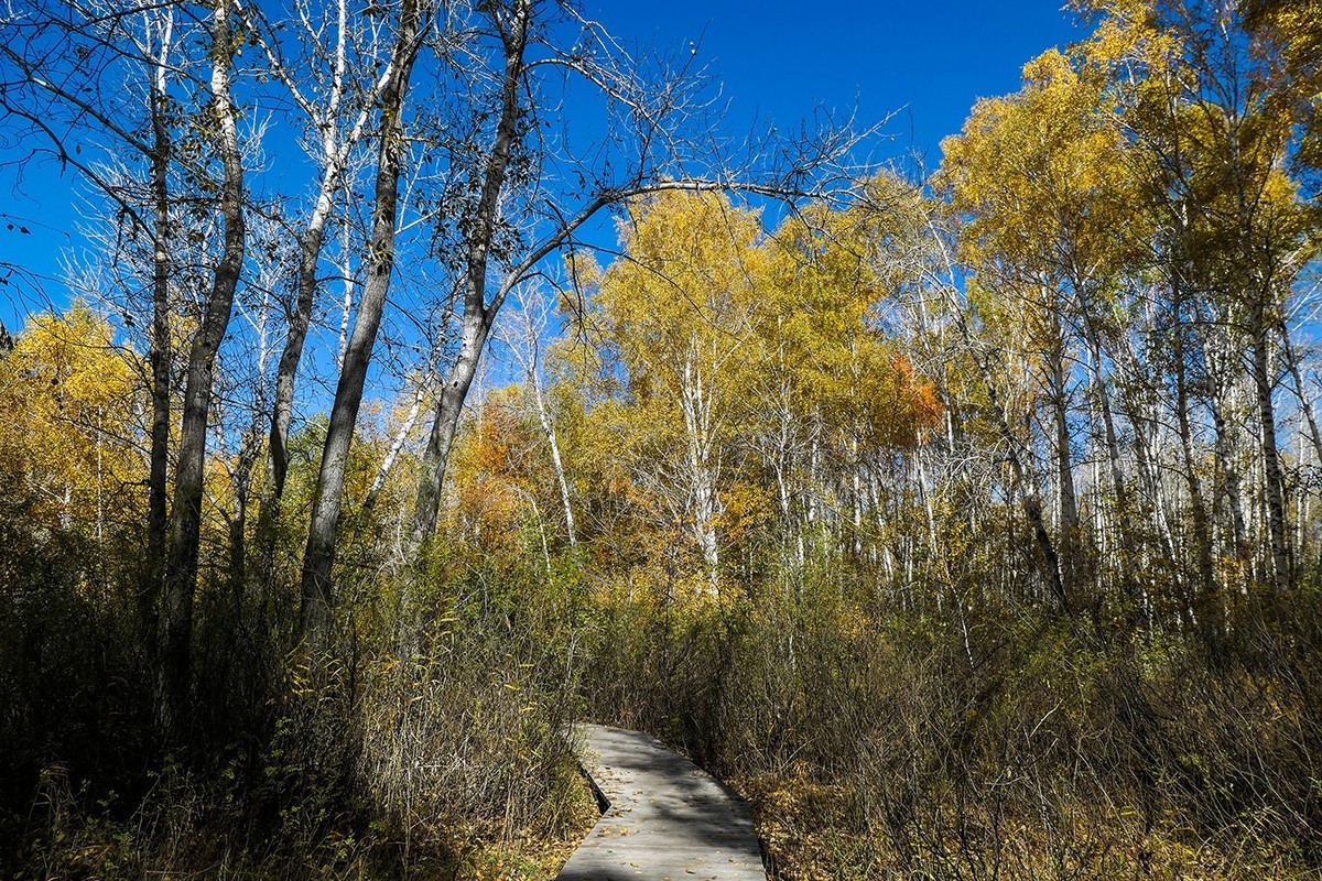 新疆阿勒泰红山公园随拍