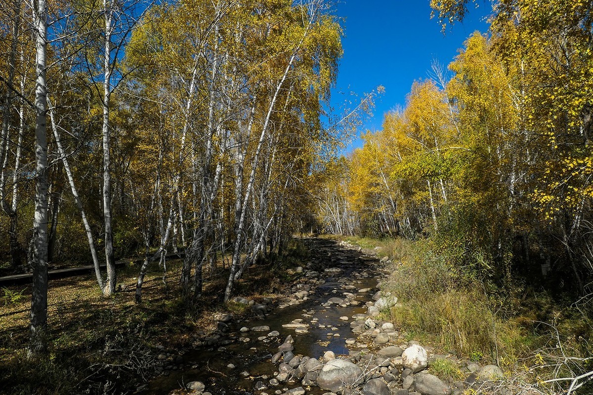 新疆阿勒泰红山公园随拍