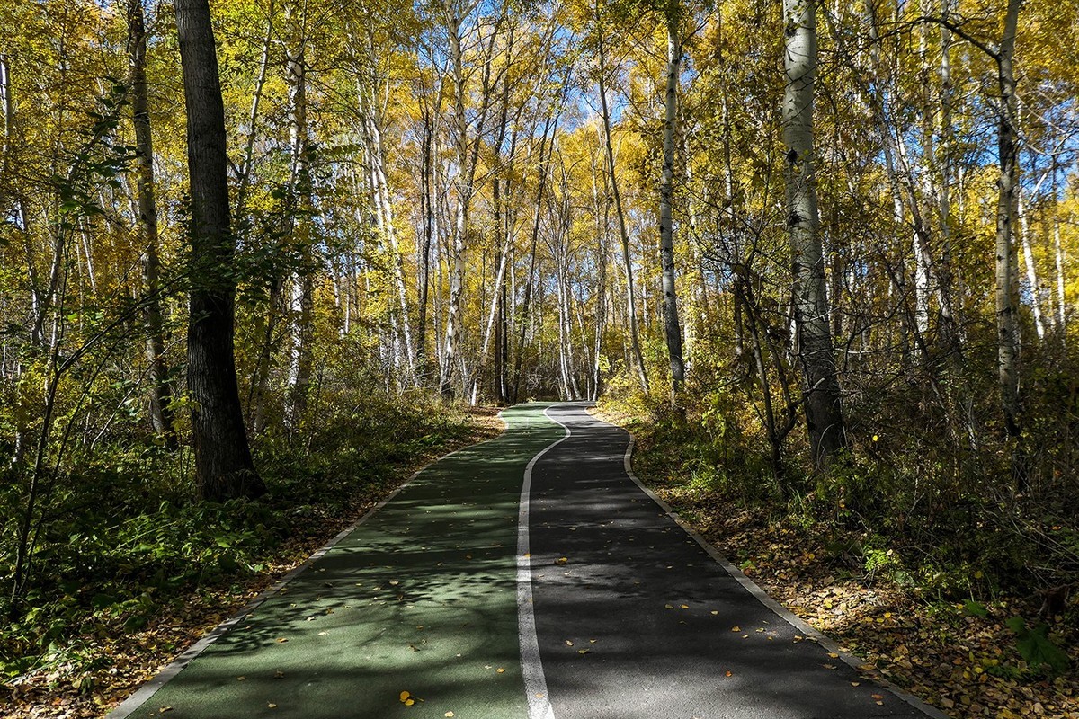 新疆阿勒泰红山公园随拍