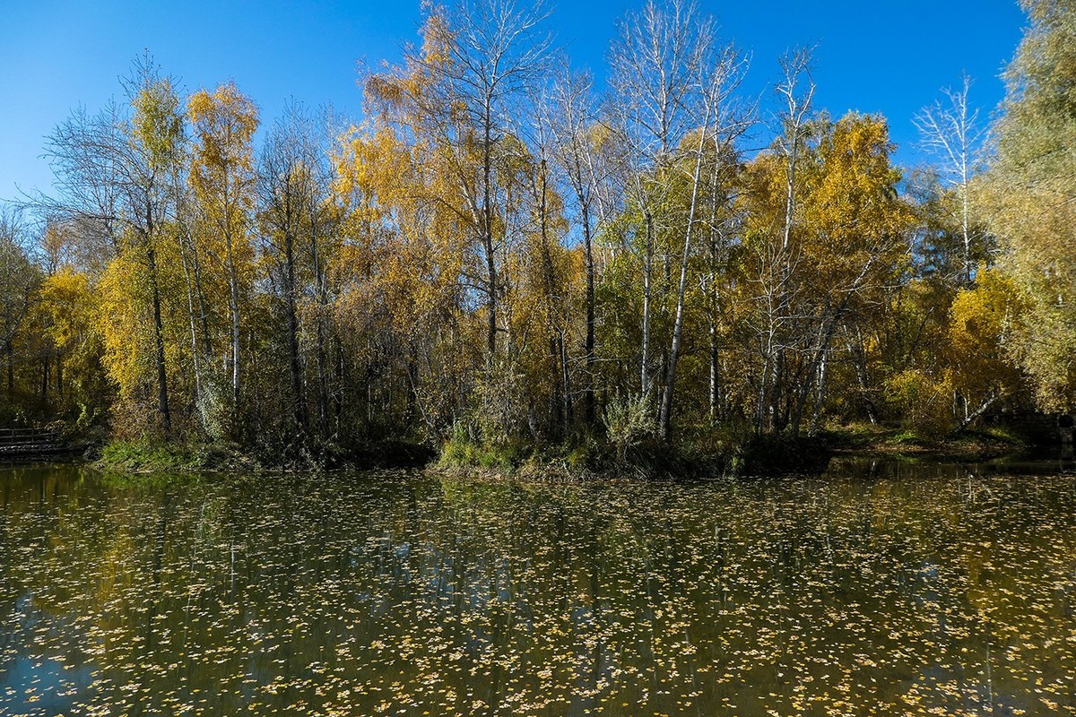 新疆阿勒泰红山公园随拍