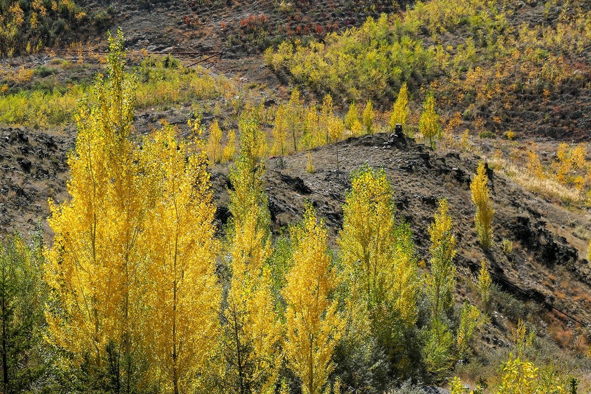 新疆阿勒泰红山公园随拍