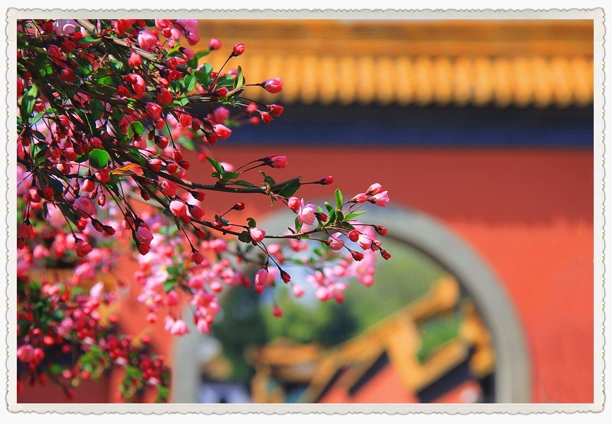 四季中最美丽的季节之一