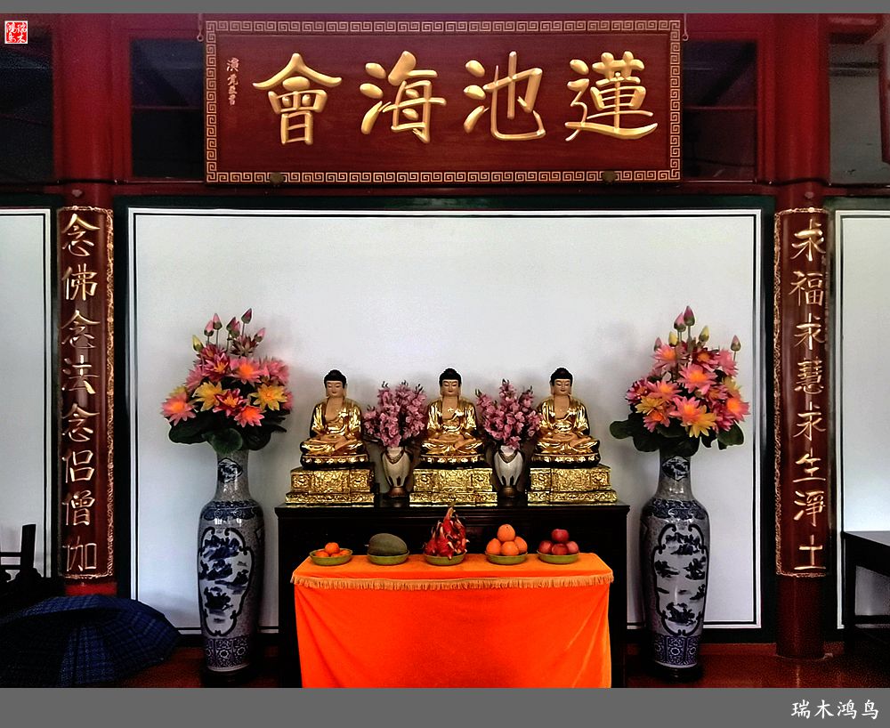 【京城寺庙集锦】弘慈广济——京城古刹广济寺