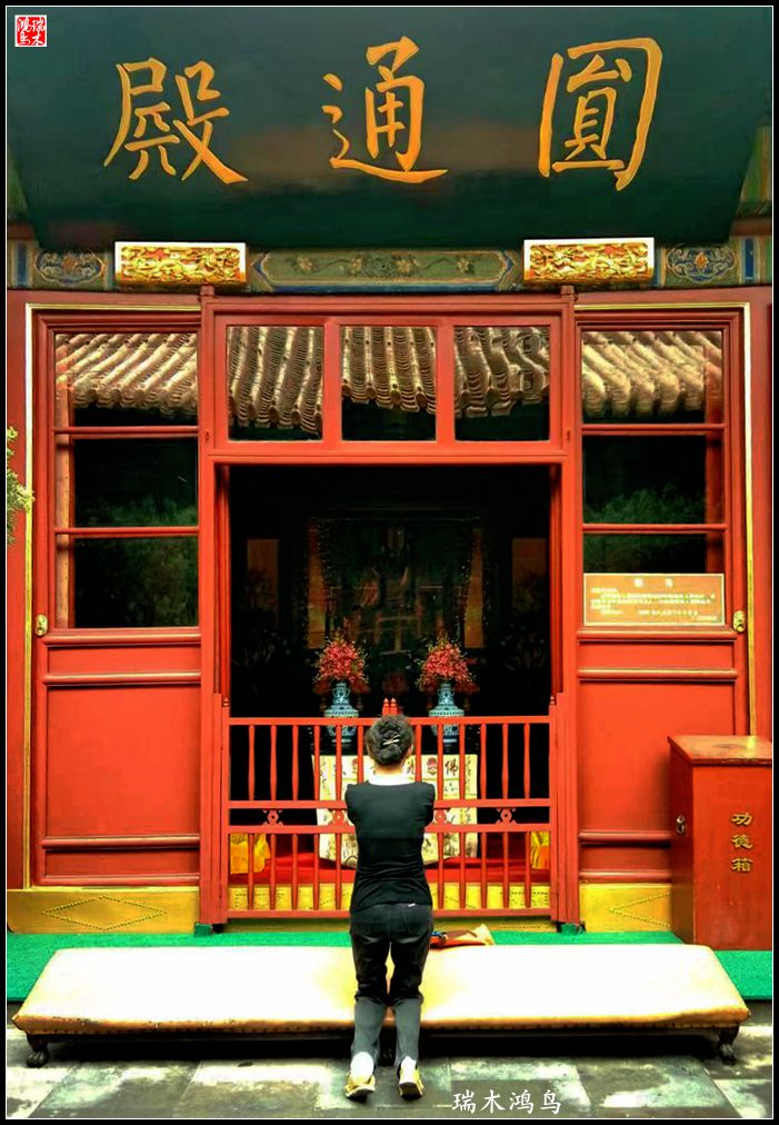 【京城寺庙集锦】弘慈广济——京城古刹广济寺