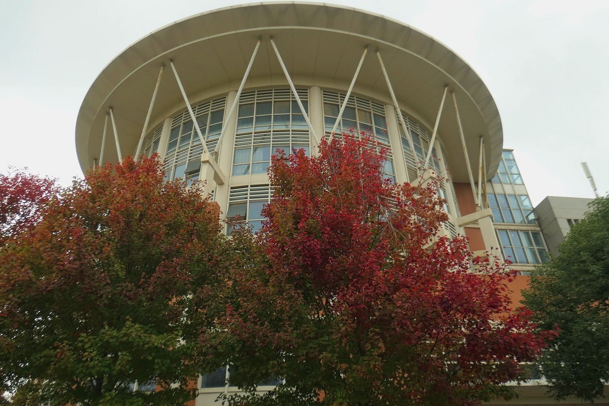 文华学院拍红枫