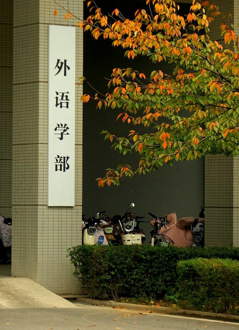 文华学院拍红枫