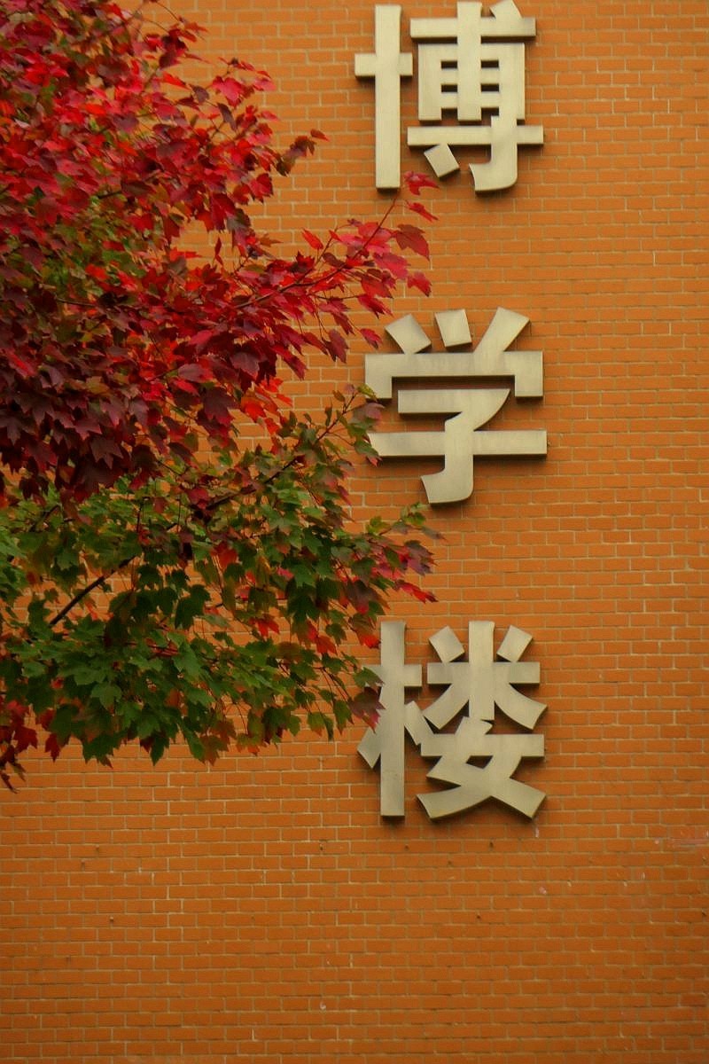 文华学院拍红枫