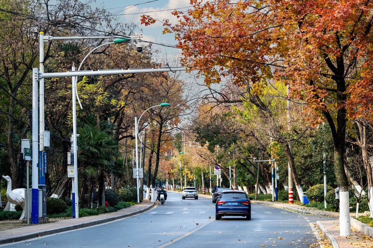 庐州印象（425）环城风景区