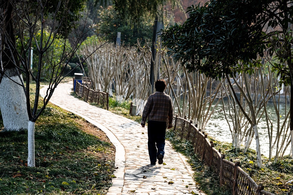 庐州印象（425）环城风景区