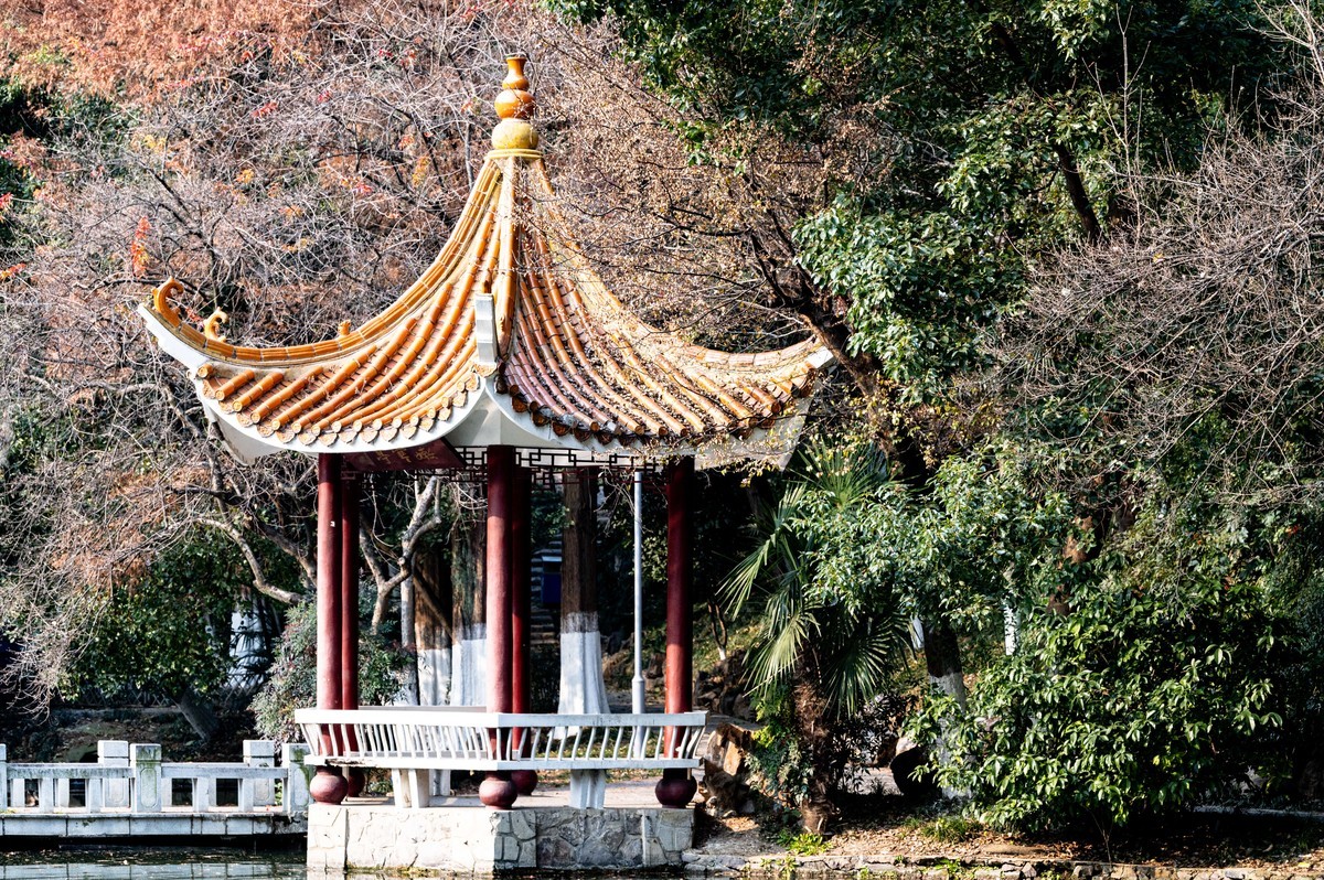 庐州印象（425）环城风景区
