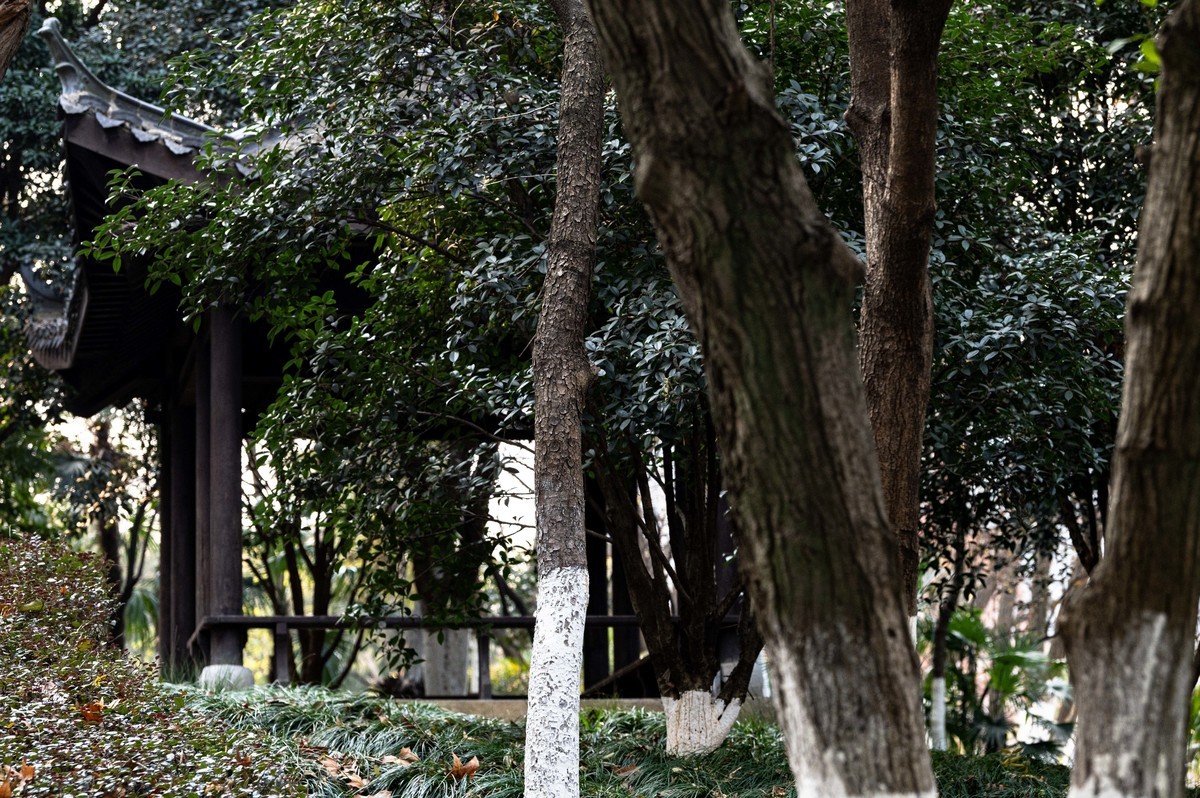 庐州印象（425）环城风景区