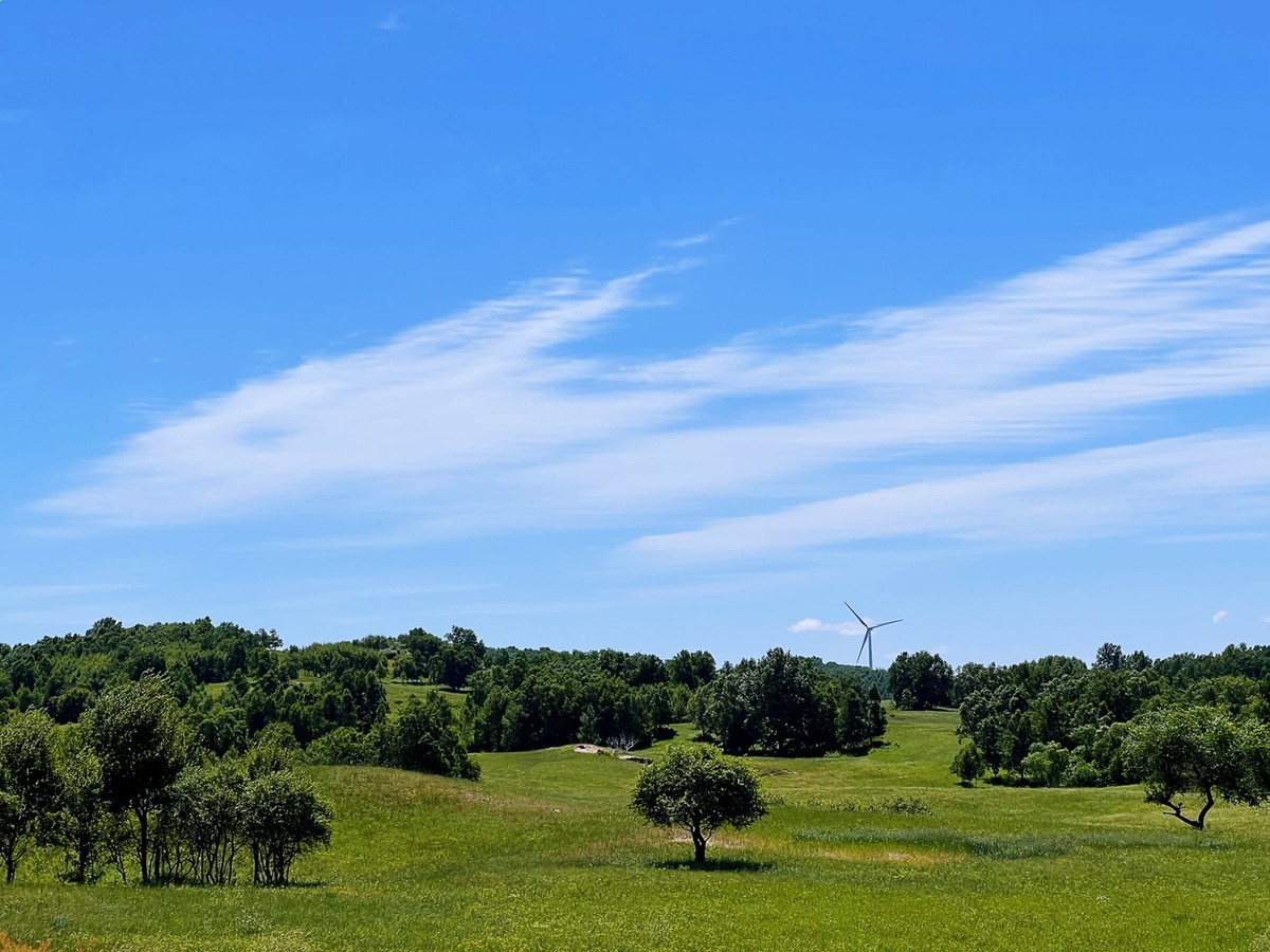 八月在御道口草原森林风景区享受一份美好时光