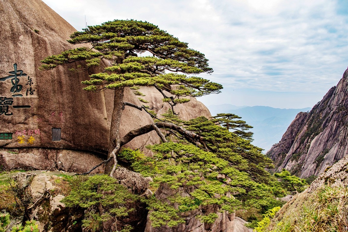 黄山--峰峦随镜入画来【11】