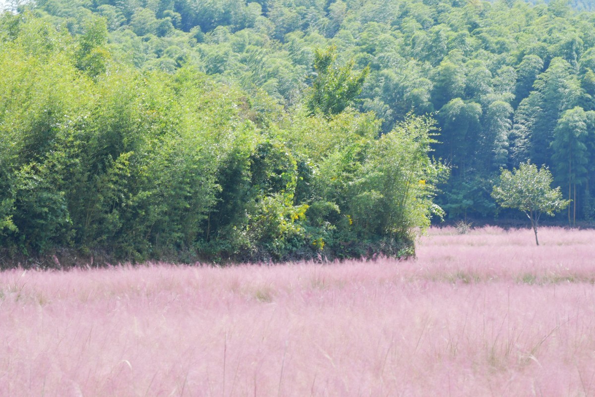 致自己之五：中年少女也可以在皖南的粉黛里风情万种！105 1.4E ED原片直出