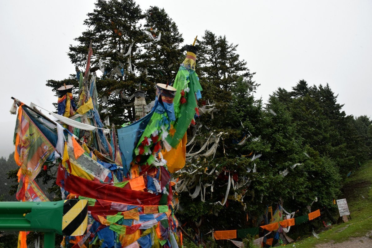 2023夏 黔赣鄂渝川（120）四通达乡瑞雪平铺