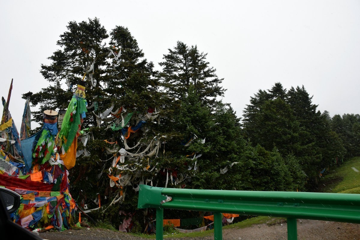 2023夏 黔赣鄂渝川（120）四通达乡瑞雪平铺