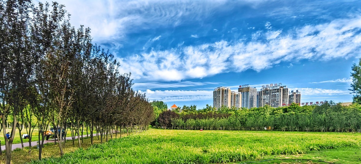 龙源湖遛弯随手拍（手机版）