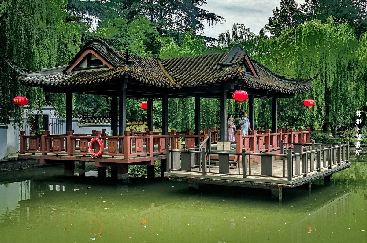 郫都 · 望丛祠 · 观荷
