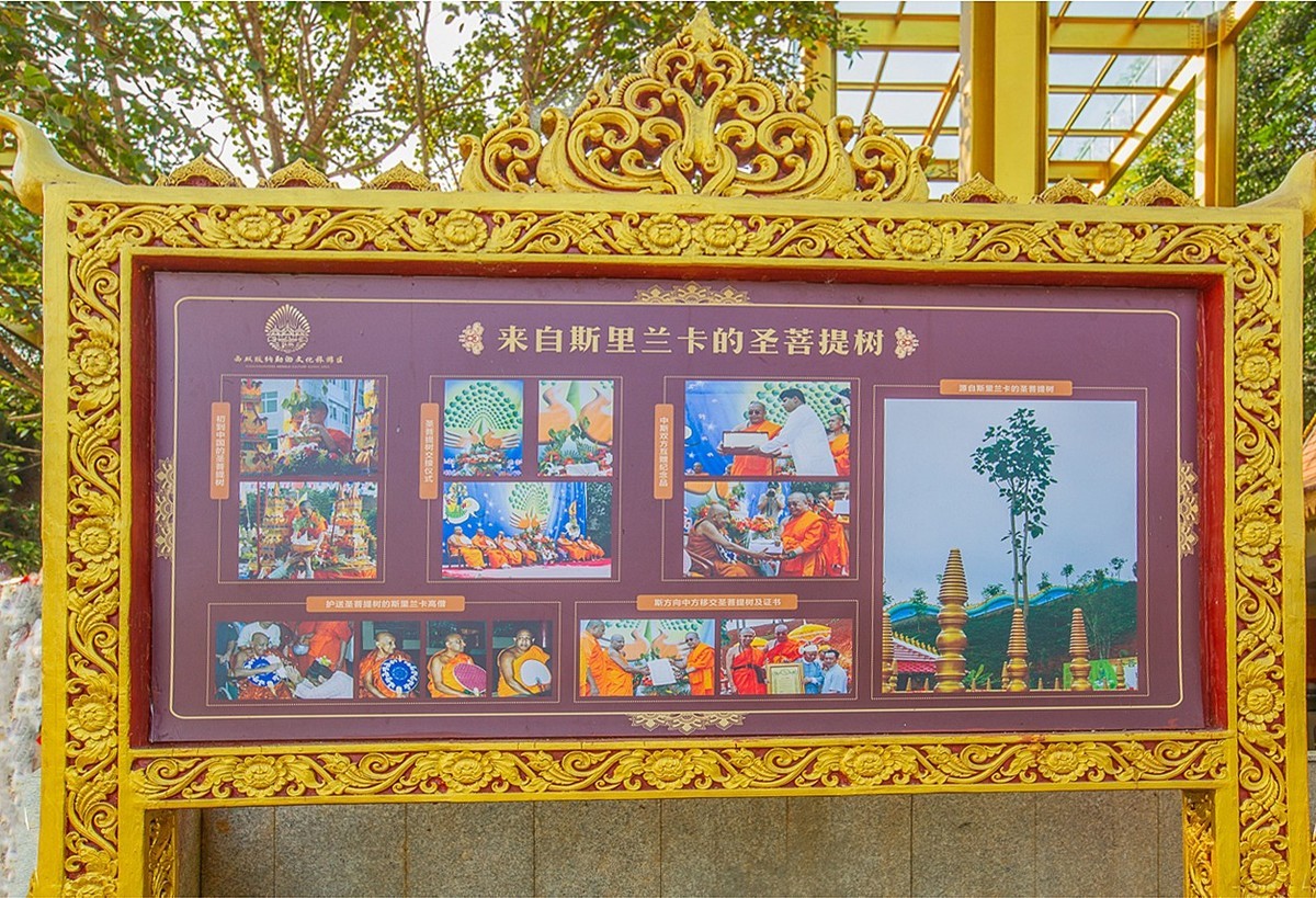 2024-07-02西双版纳勐泐文化旅游区（二十四）-中关村在线摄影论坛