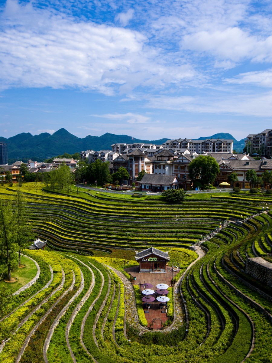 外出随拍（续143）.