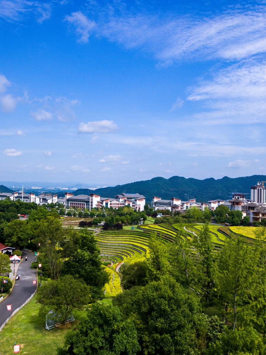 外出随拍（续143）.