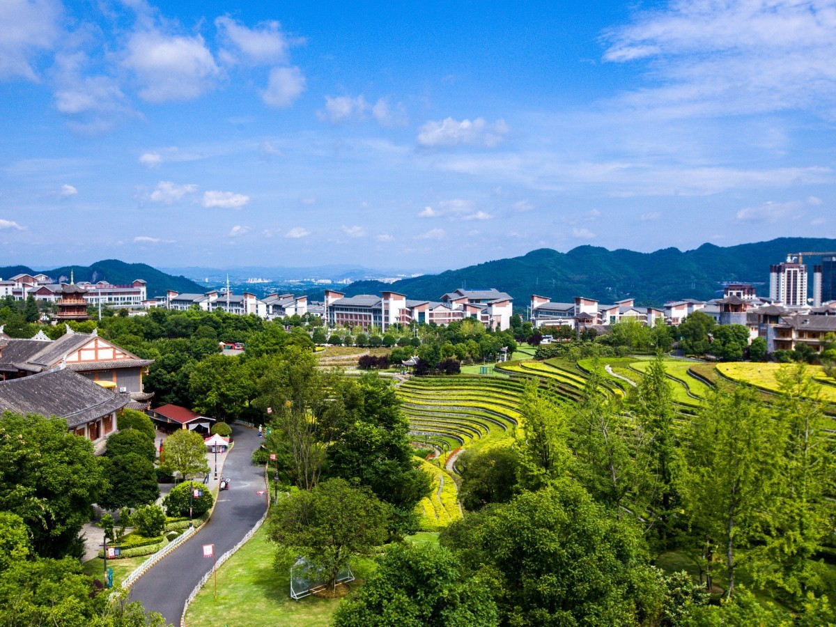 外出随拍（续143）.