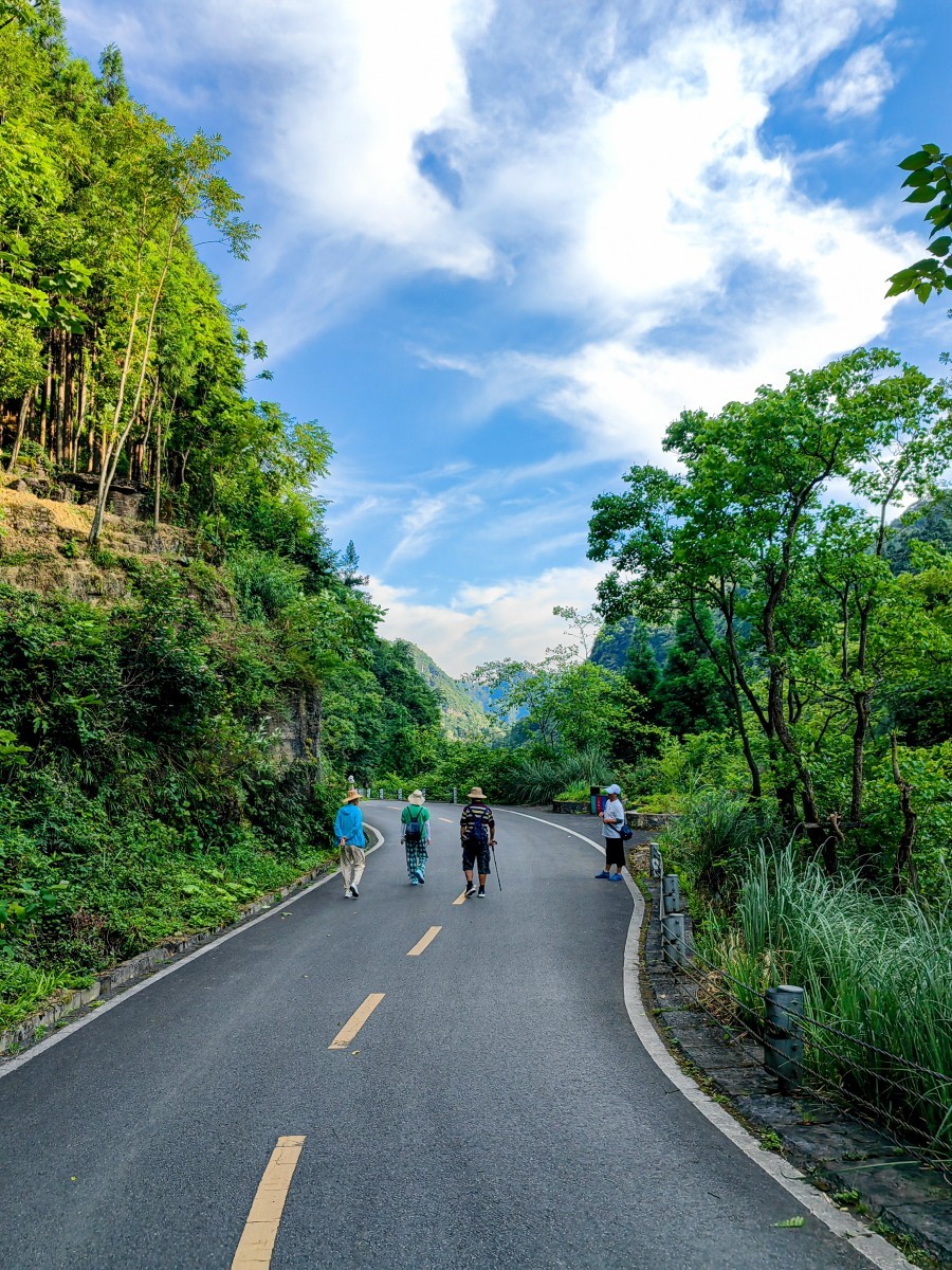 外出随拍（续143）.