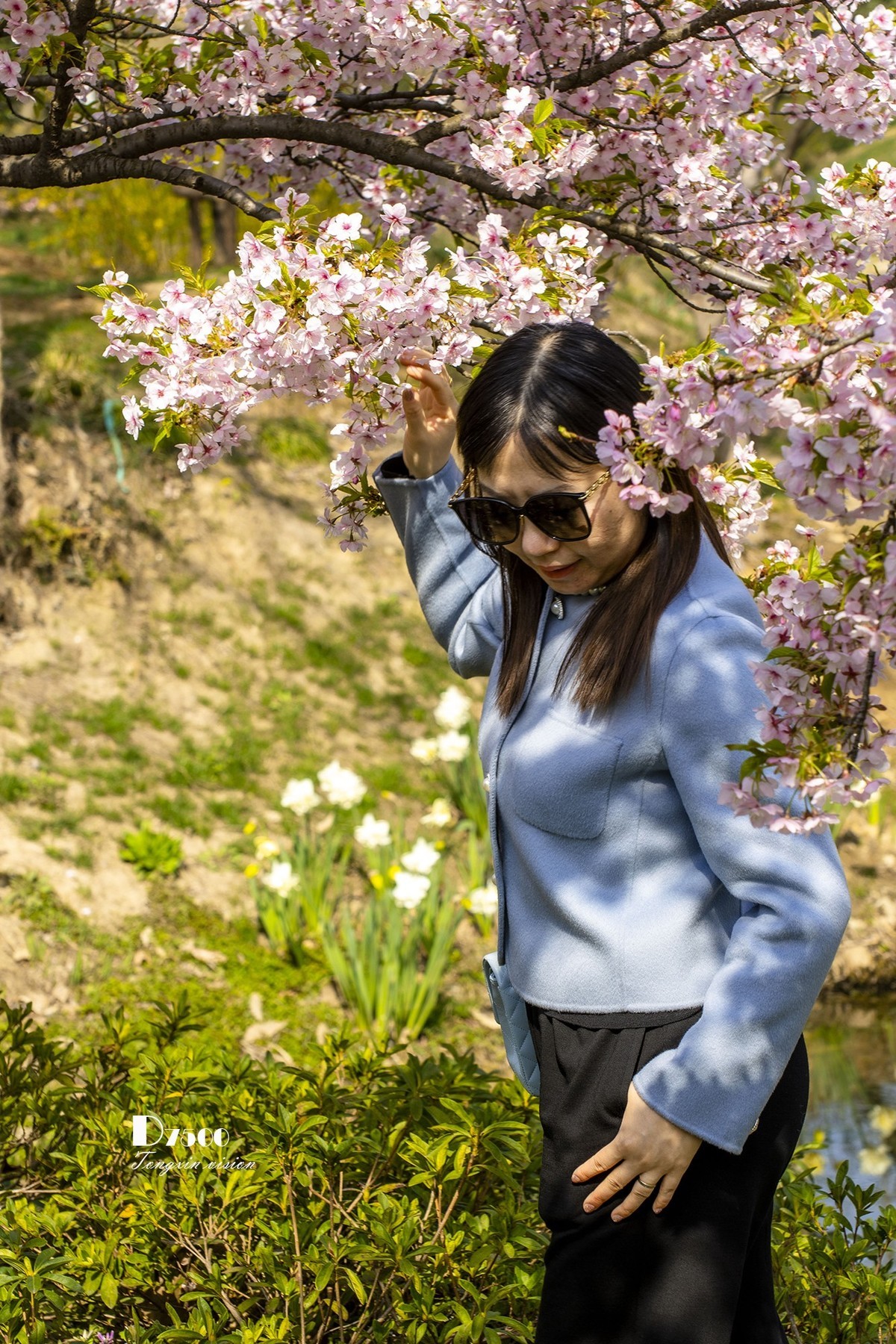 三月下江南——无锡鼋头渚（15）